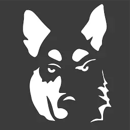 Fakegurusong.com Favicon