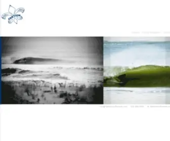 Faktionsurfboards.com(Faktion Handcrafted Surfboards made in New York by Petro & Hawk) Screenshot