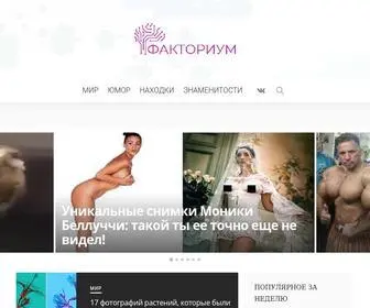 Faktrm.ru Screenshot