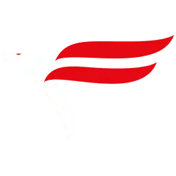 Falcontech.us Favicon