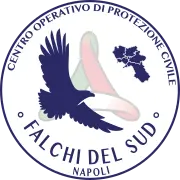 Falchidelsud.org Favicon