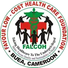 Falcoh.org Favicon