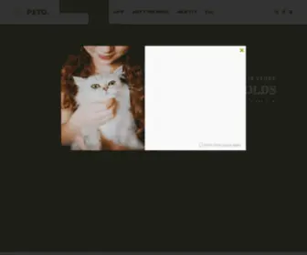 Familyscottishfolds.com(Scottish Fold Kitten) Screenshot