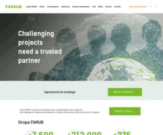 Famur.com(Grupa FAMUR) Screenshot