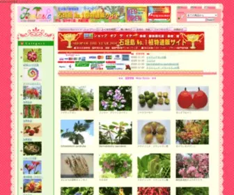 Fantasiamax.com(石垣島の植物通販　”ファンタジア”) Screenshot