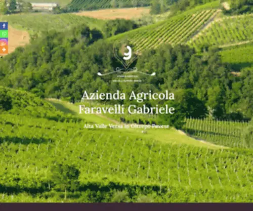 Faravellivini.net(Azienda agricola Faravelli Gabriele) Screenshot