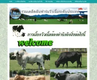 Farmsteadinc.com(แนะนำฟาร์มวัวเนื้อ มาตรฐาน ทั้งในไทยและ ต่างประเทศ) Screenshot