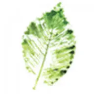 Farmyardnurseries.co.uk Favicon