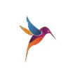 Farodelcolibri.com Favicon