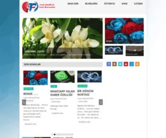 Farukozturk.com(Sanal) Screenshot