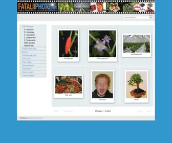 Fataliiphoto.net(Fataliiphoto) Screenshot