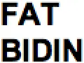 Fatbidin.com Favicon