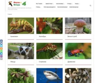 Faunaiflora.info(Фауна) Screenshot