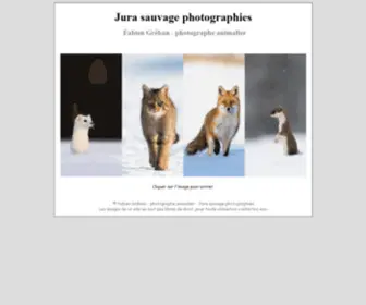 Faune-Jura.com(Jura sauvage photographies) Screenshot