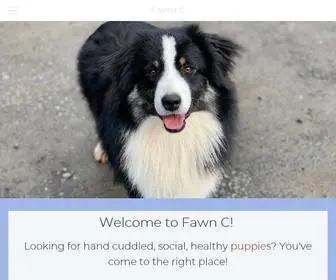 Fawncminis.com(FAWN C) Screenshot