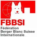 FBbsi.info Favicon