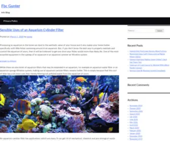 FBcgunter.org(Info Blog) Screenshot