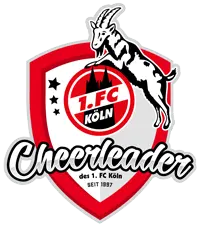 FC-Cheerleader.de Favicon