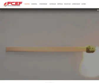 Fcef.org.tr(Yanma) Screenshot