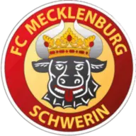 FCM-SChwerin.de Logo