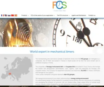 FCSgroupe.com(FCS Groupe) Screenshot