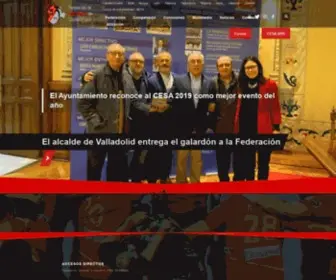 FCYLBM.com(Federación Territorial de Balonmano de Castilla y León) Screenshot