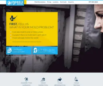 FDpmoldremediation.com(Fdp mold remediation) Screenshot