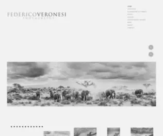 Federicoveronesi.com(Fine-art limited edition prints of African Wildlife by Federico Veronesi) Screenshot