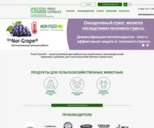 Feedconsult.ru(ФидКонсалт) Screenshot