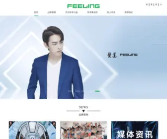 Feelinghair.com(不允许用于访问此页的 HTTP 谓词) Screenshot