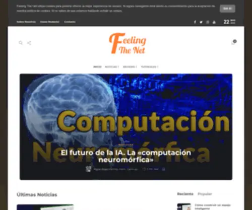 Feelingthenet.com(Feeling the net) Screenshot