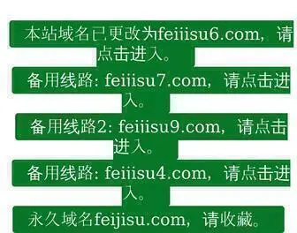 Feijisu.com(飞极速在线) Screenshot