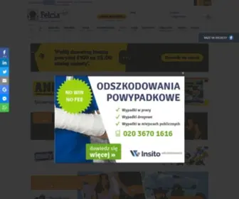 Felcia.co.uk(Polskie firmy w uk) Screenshot