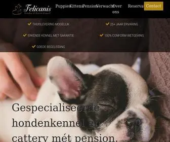 Felicanis.be(De mooiste pups en kittens) Screenshot