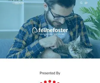 Felinefoster.org(Feline Foster) Screenshot