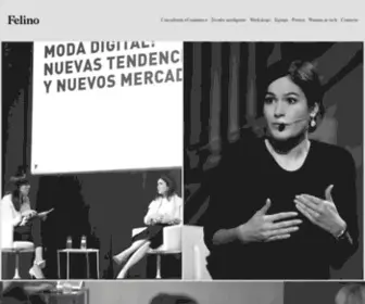 Felino.com(Consultora) Screenshot
