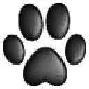 Felinpourlautre.com Favicon