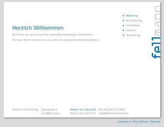 Fellmanntreuhand.ch(Fellmann Treuhand) Screenshot