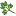 Fellowshipbible.org Favicon