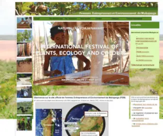 Femmesenvironnementmahajanga.com(FEM) Screenshot