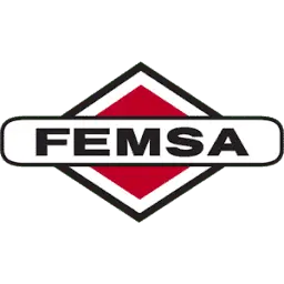 Femsa.org Logo