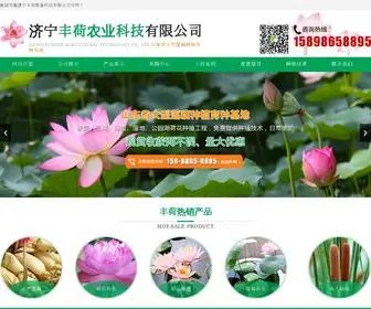 Fenghe123.com(济宁丰荷农业科技有限公司) Screenshot