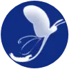 Feniceonlus.it Logo