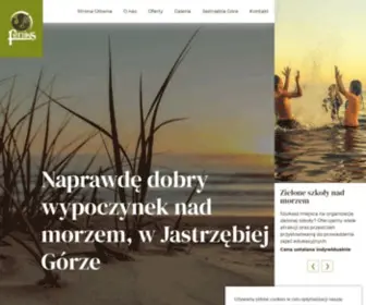 Feniksjastrzebia.pl(Ośrodek) Screenshot