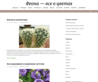 Feona.org(Феона) Screenshot