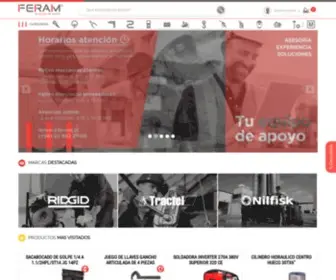 Feram.cl(FERAM tu equipo de apoyo) Screenshot