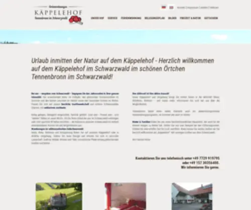 Ferienwohnungen-Kaeppelehof.de(Ferienwohnungen Kaeppelehof) Screenshot