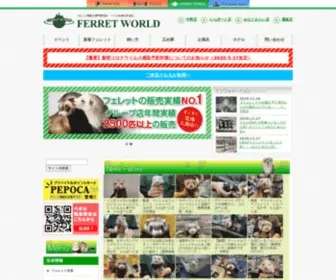 Ferret-World.jp(FERRET WORLD) Screenshot