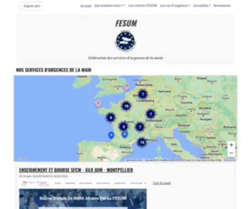 Fesum.fr(Fédération des services d'urgences de la main) Screenshot