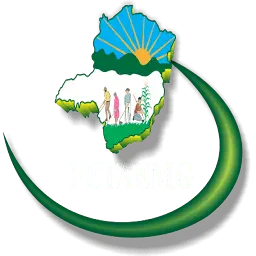 Fetaemg.org.br Logo
